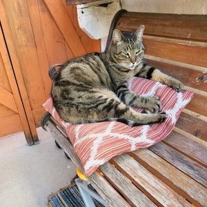 Meet your Posher, Fabio